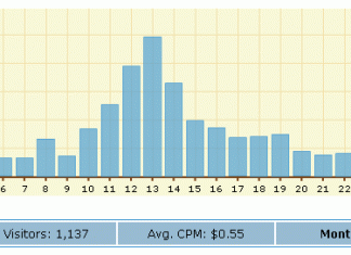 Income-Expense Report